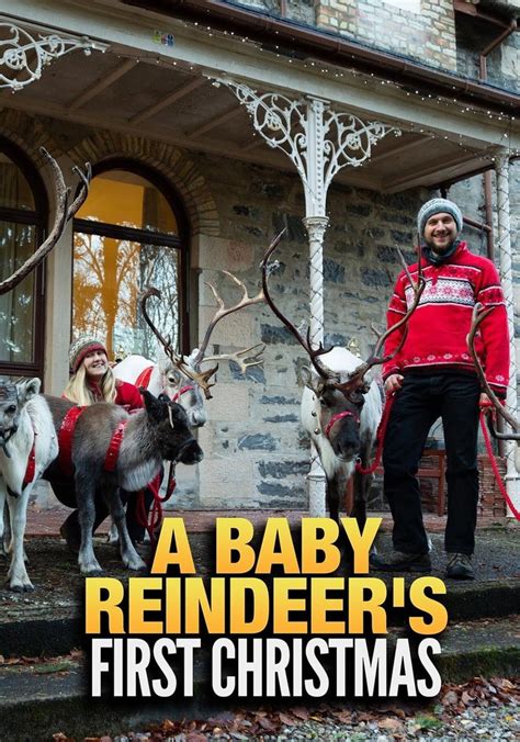 baby reindeer movie cast